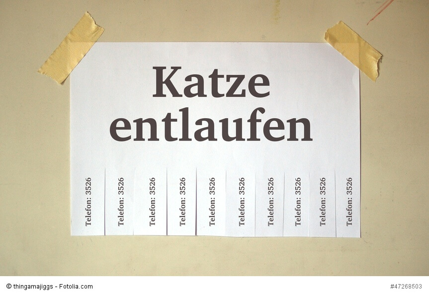 Katze entlaufen