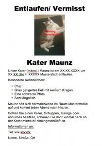 Steckbrief Katze