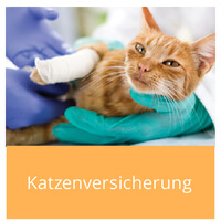 Katzenversicherung