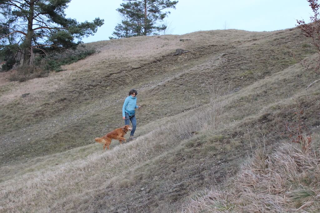 Besitzer und Hund nutzen Hügel und Gefälle wie Böschungen zum Training des alten, braunen Hundes