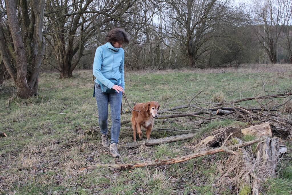 Frauchen geht mit ihrem Hund an der Leine über Baumstämme und Äste. So bewegt der Hund automatisch alle Gelenke.