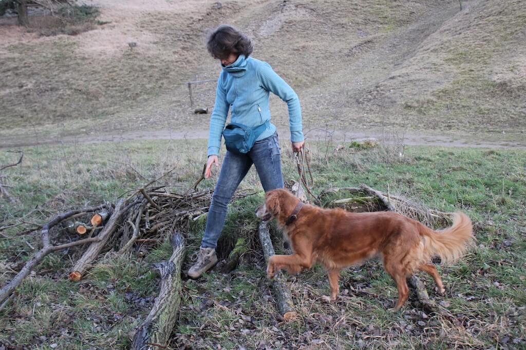 Brauner Hund läuft mit Frauchen an der Leine über verschiedene Baumstämme und Äste um die Koordination zu trainieren
