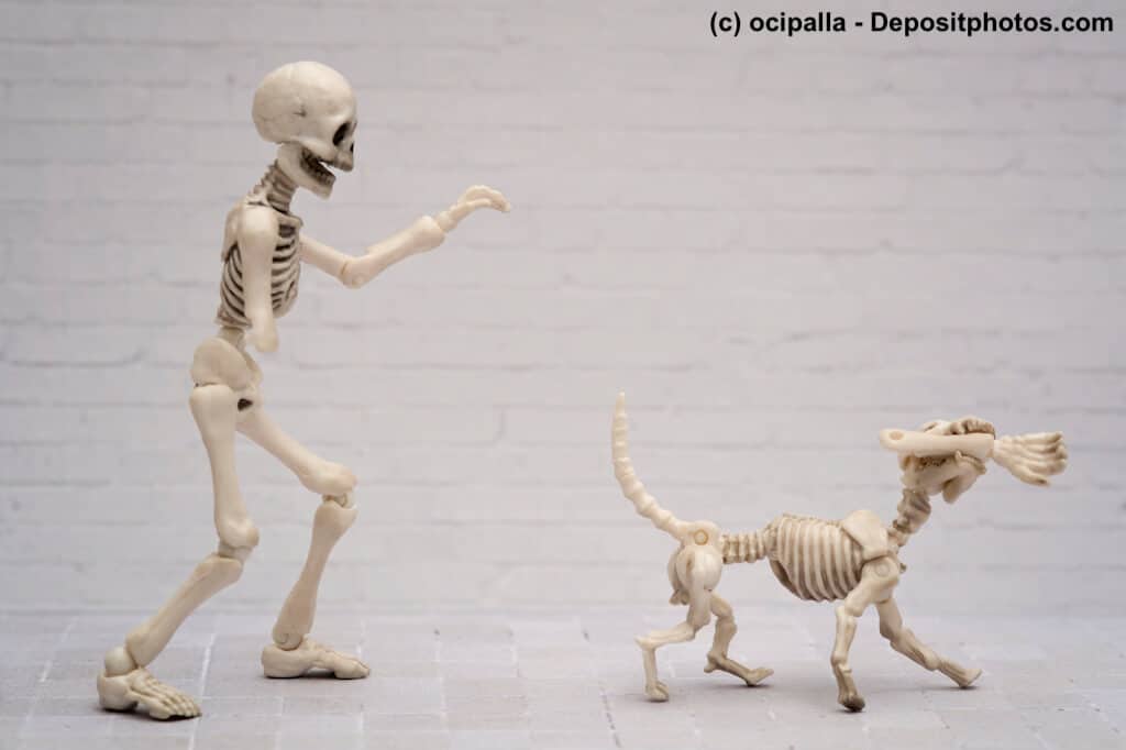 Ein Hundeskelett läuft mit einem Unterarm in der Schnauze vor einem Menschenskelett mit fehlendem Unterarm davon