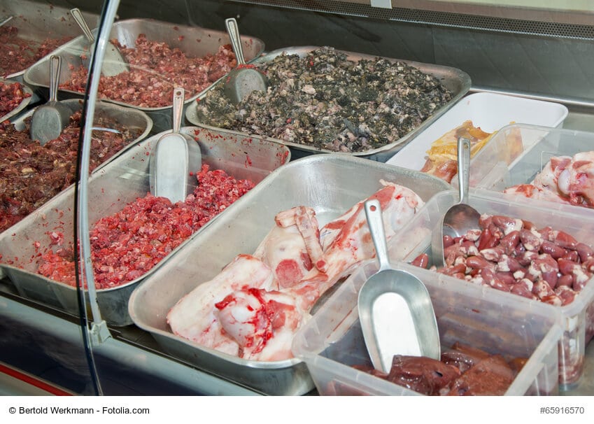 10 verschiedene Schalen frisches Fleisch als Hundefutter