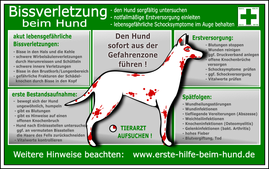 Schaubild zu Bissverletzung beim Hund