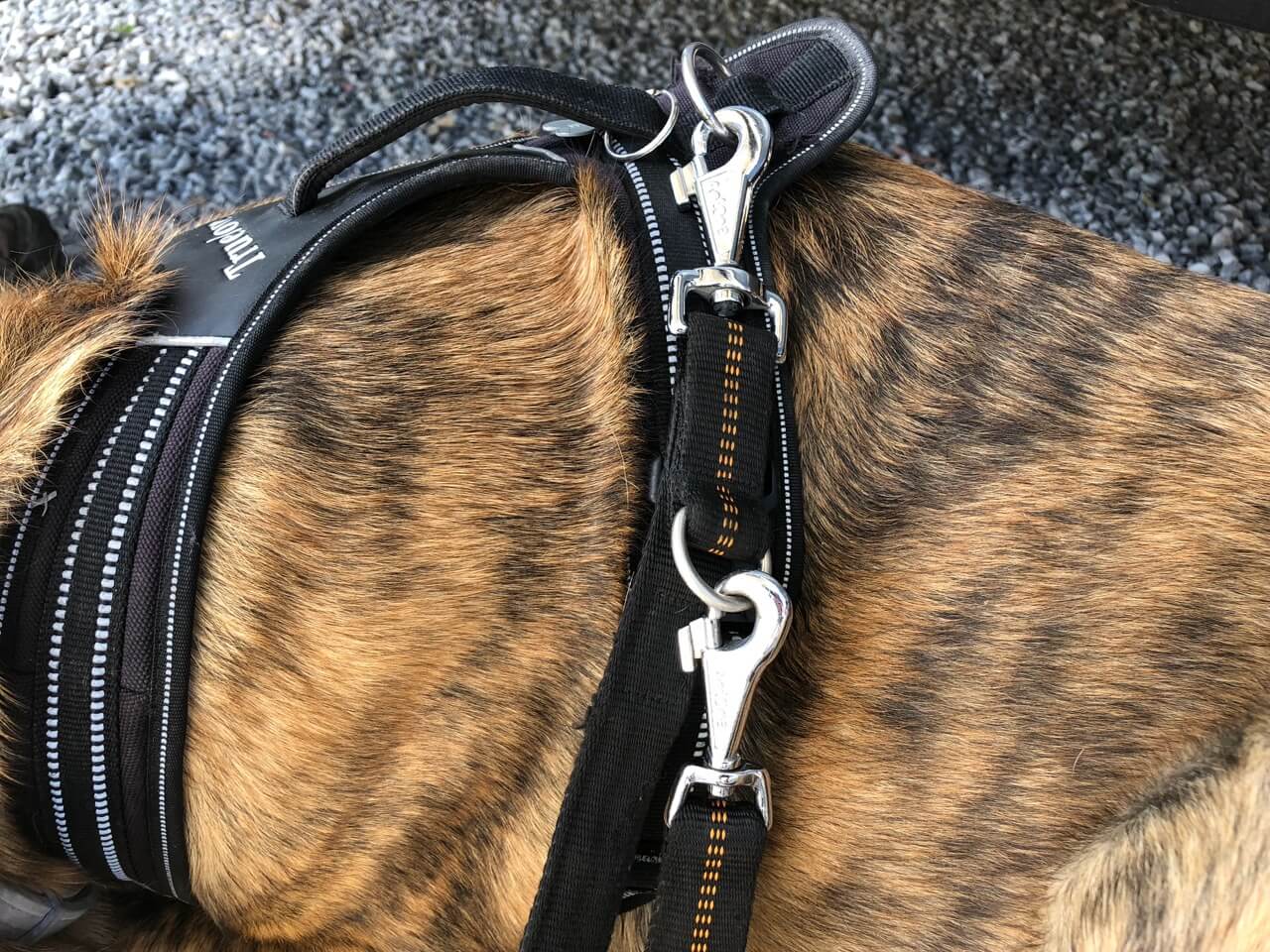 Doppelte Sicherung dank zweier stabiler Karabiner