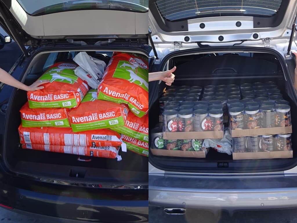 Zwei offene Kofferräume voll mit Hundefutter.