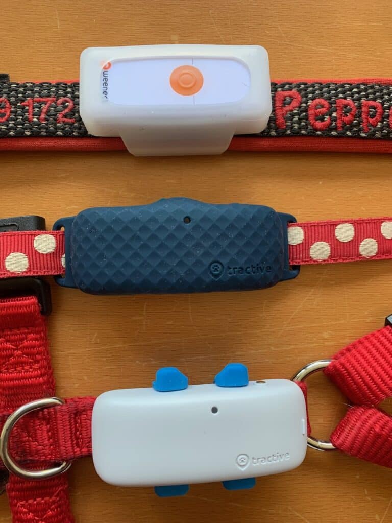Hier siehst Du verschiedene GPS-Tracker für Hunde und Katzen im Vergleich