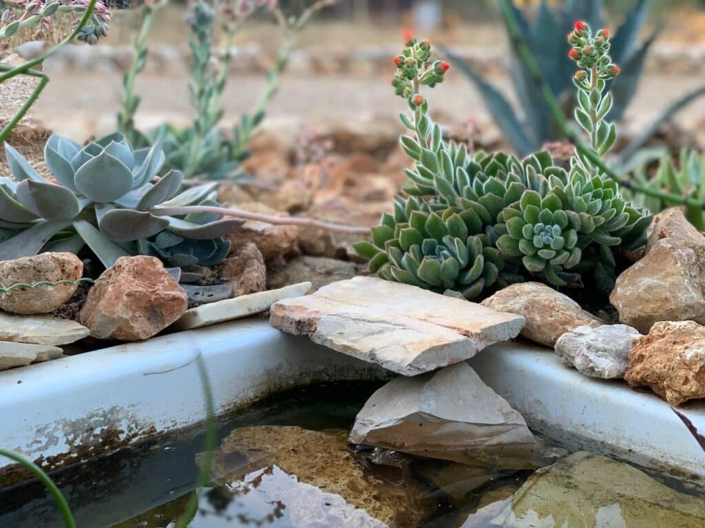 Ein Gartenteich aus einer alten Duschwanne mit Steinen und einem Frosch. Beschriftung lautet: Gartenteiche ohne Fischbesatz sind einfach zu pflegen und erfreuen manchen Frosch.