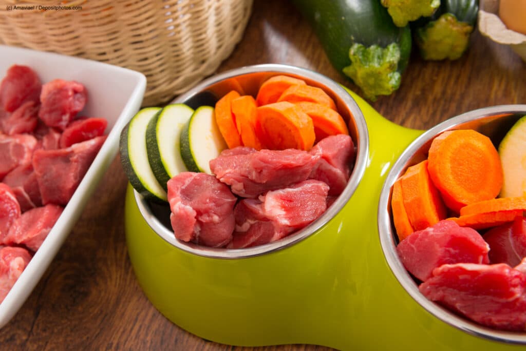 Ein Hundenapf mit rohem Fleisch, Karotten und Zucchini. Die Beschriftung lautet: Hypoallergenes Futter enthält nur eine Proteinquelle und wenige andere Zutaten.