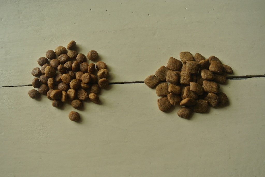 Green Petfood im Test: Vergleich der beiden Sorten