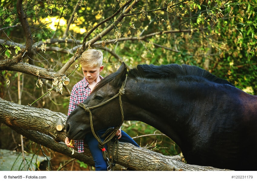 Grundausstattung Pferd - Kind streichelt schwarzes Pony vor Wald