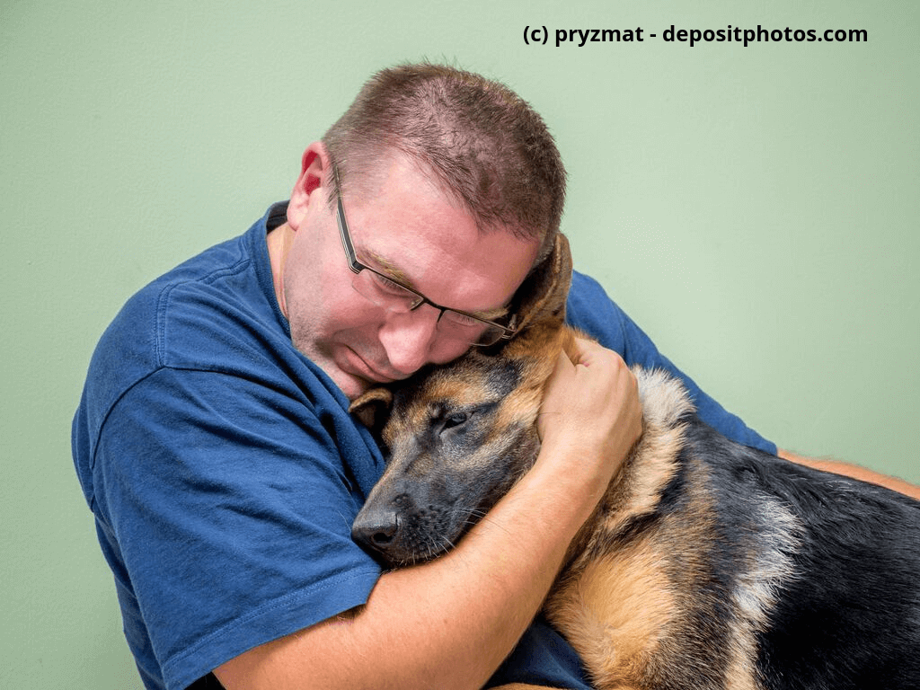 Hund tröstet Mann