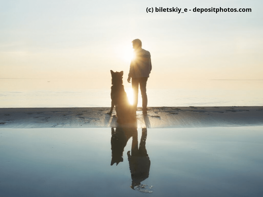 Hund mit seinem Herrschen am Strand