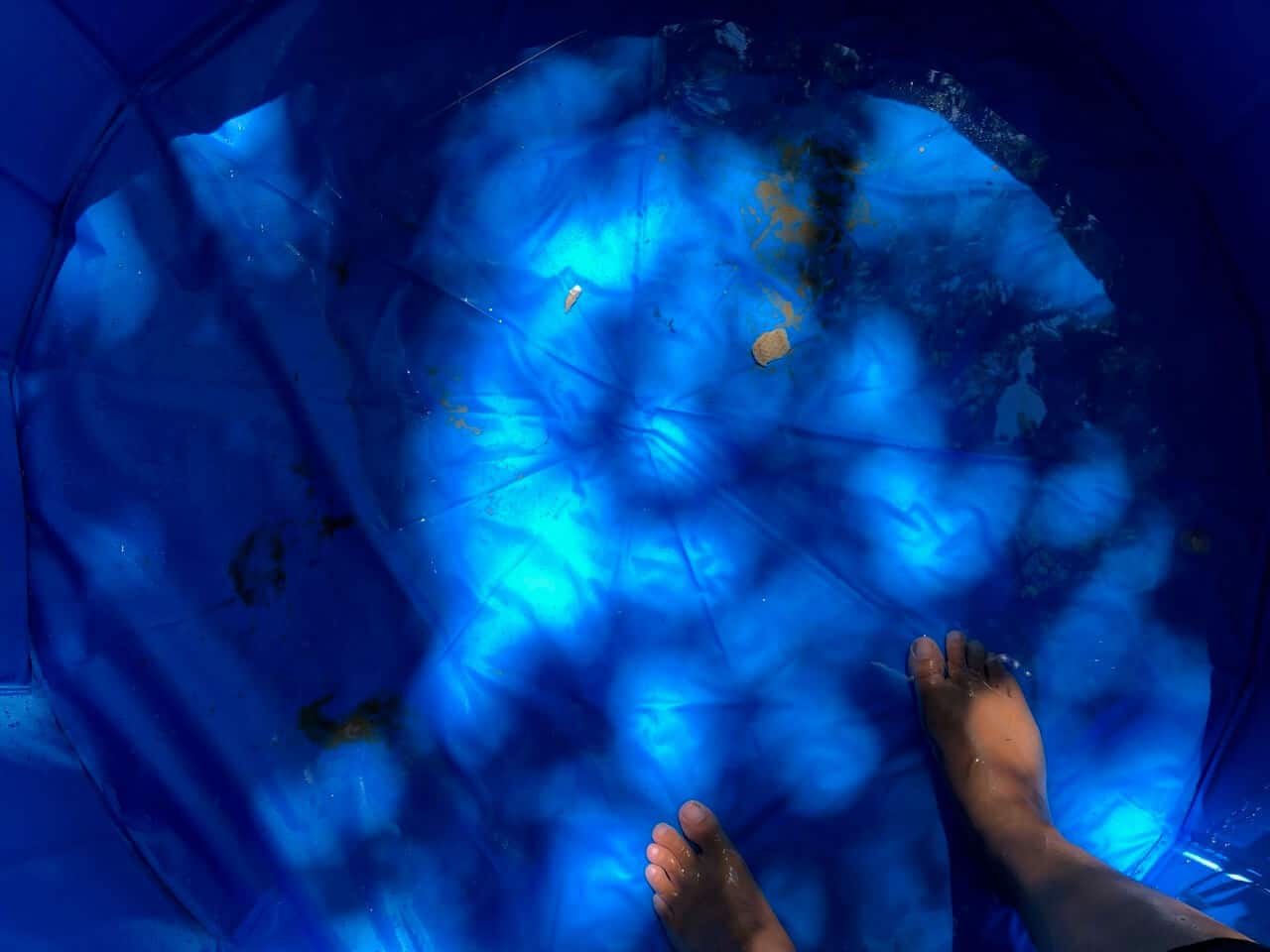 Blick von oben in einen blauen Hundepool Fuloon mit etwas Wasser und zwei Füßen am Rand