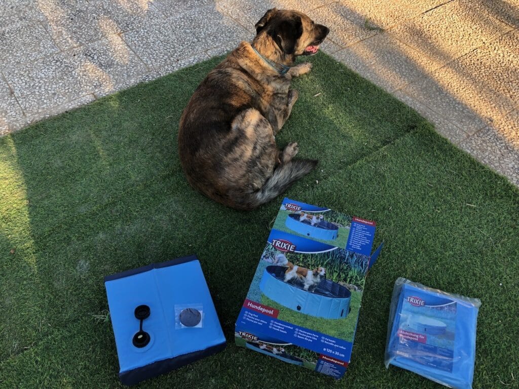 Pool und Abdeckung lassen sich einfach aufbauen.