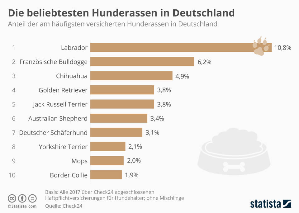 Infografik: Die beliebtesten Hunderassen in Deutschland | Statista