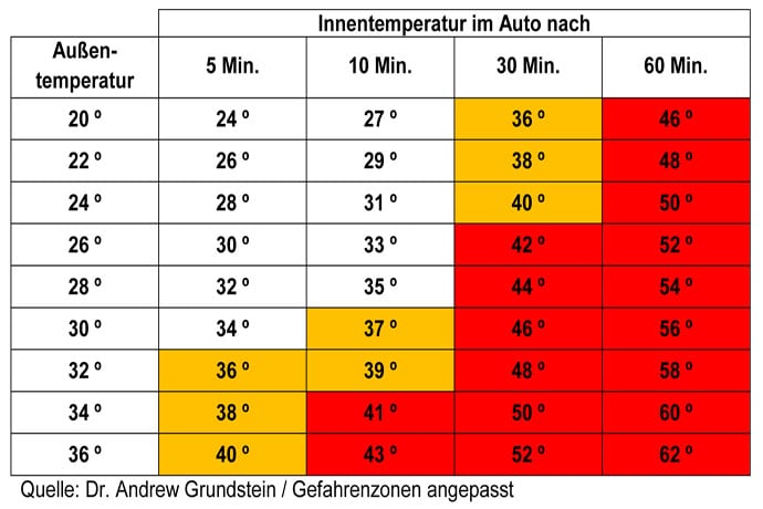 nnentemperatur-im-Auto-hund-im-auto