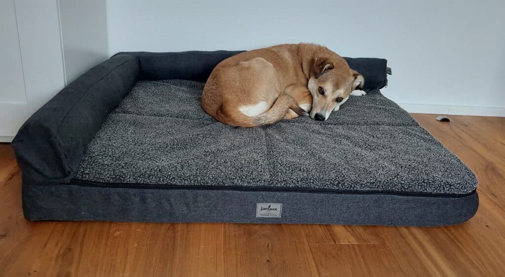 Jamaxx Hundebett Test Nala