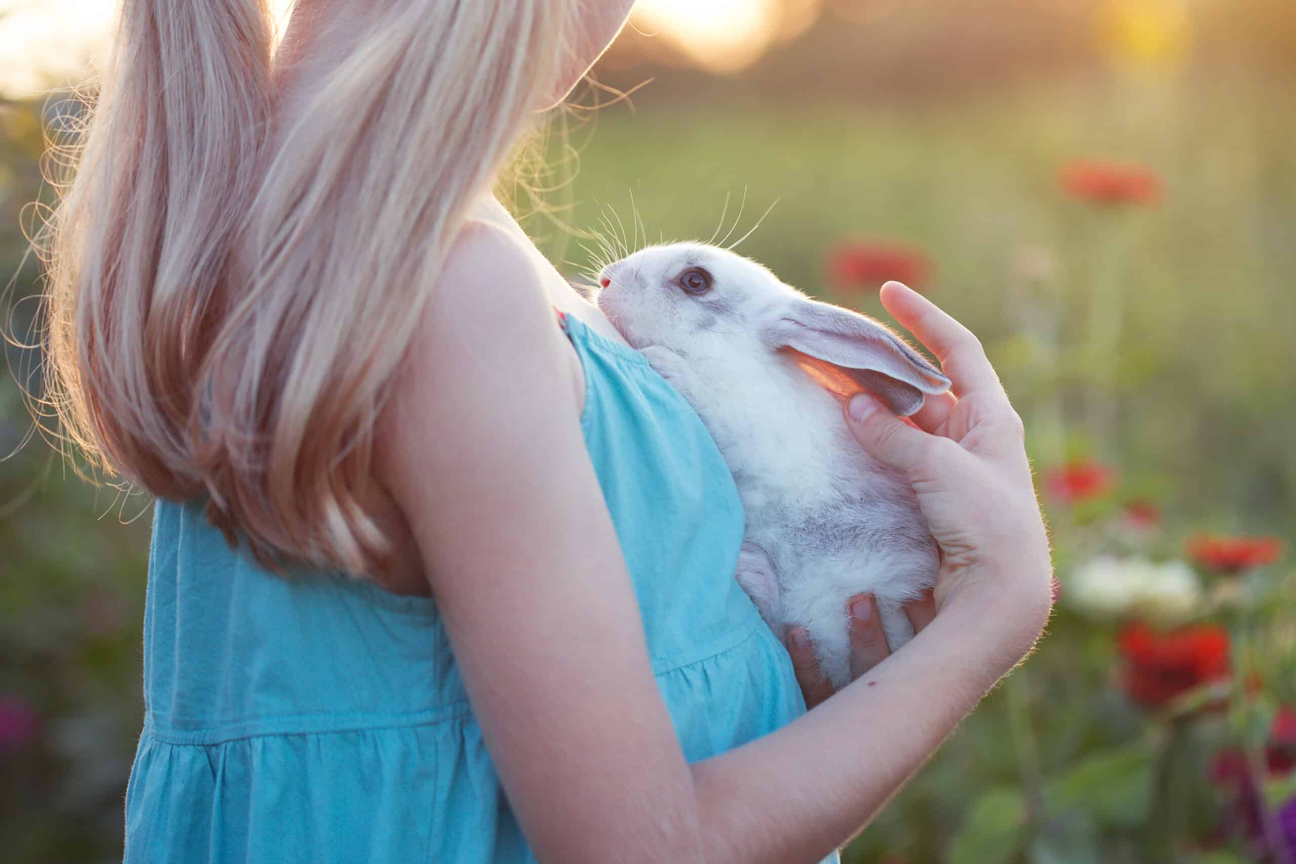 Ein blondes Mädchen hält auf einer blühenden Wiese an einem sonnigen Tag ein weiß-graues Kaninchen auf dem Arm. Beschriftung lautet: Wie alt werden Kaninchen? Wir sagen dir welche Faktoren das Lebensalter deines Langohres beeinflussen.