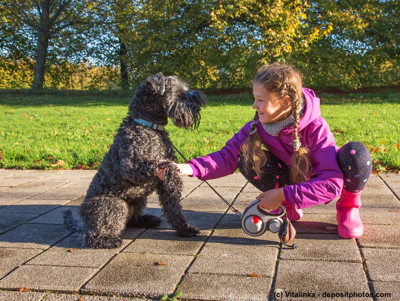 Kerry Blue Terrier mit Mädchen