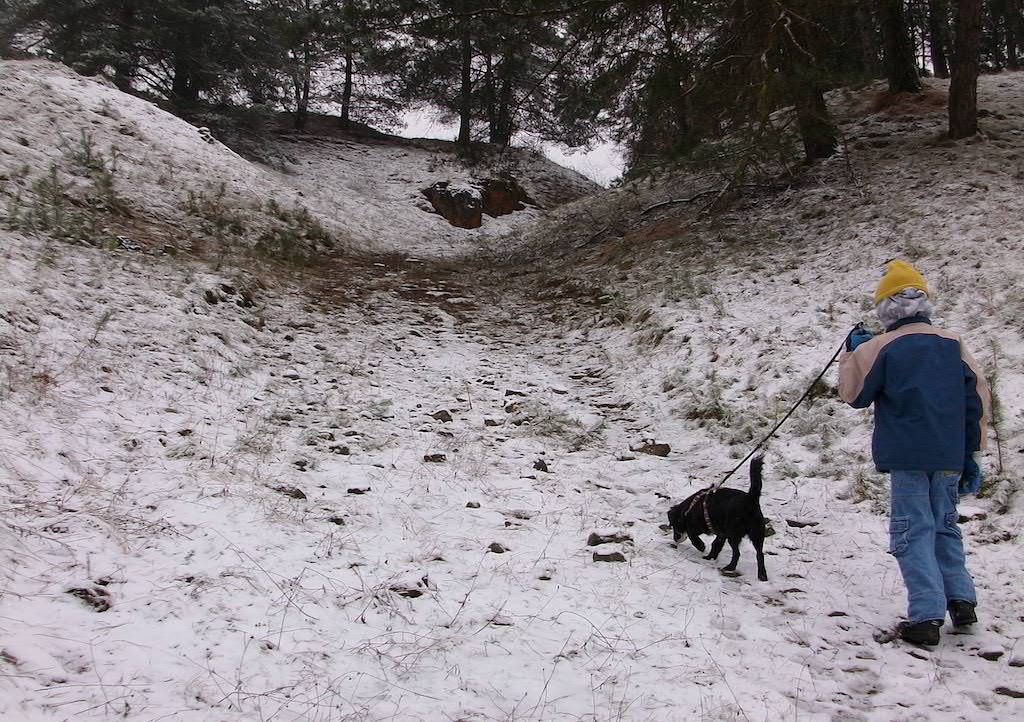 Hund mit schweren Brüchen der Beine läuft heute wieder fast normal durch den Wald