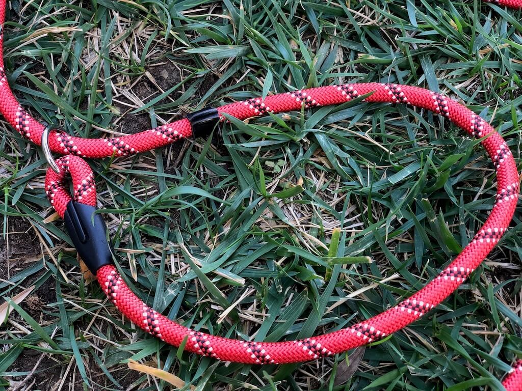 Bei einer Moxon- oder Retrieverleine sind Halsband und Leine eins.