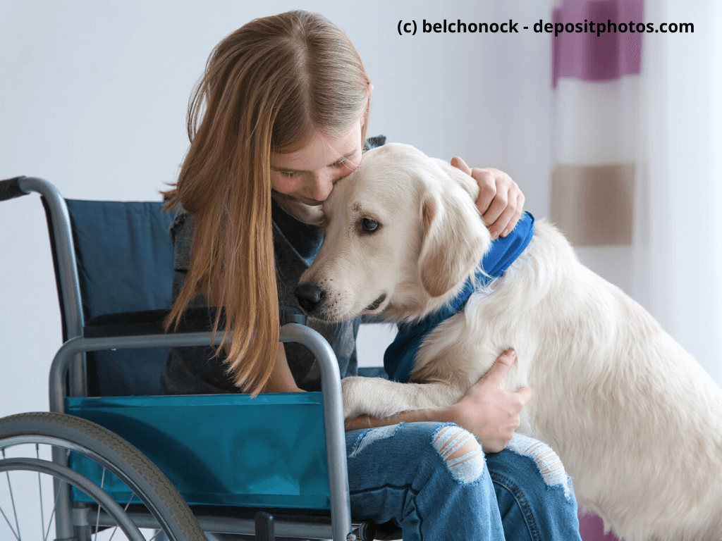 Mädchen in Rollstuhl umarmt Golden Retriever mit blauem Halstuch