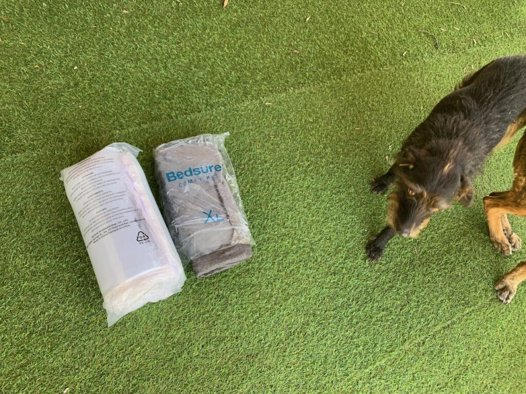 Auch Pepper hat beim Testen mitgeholfen. Wenn auch eher als moralische Unterstützung.