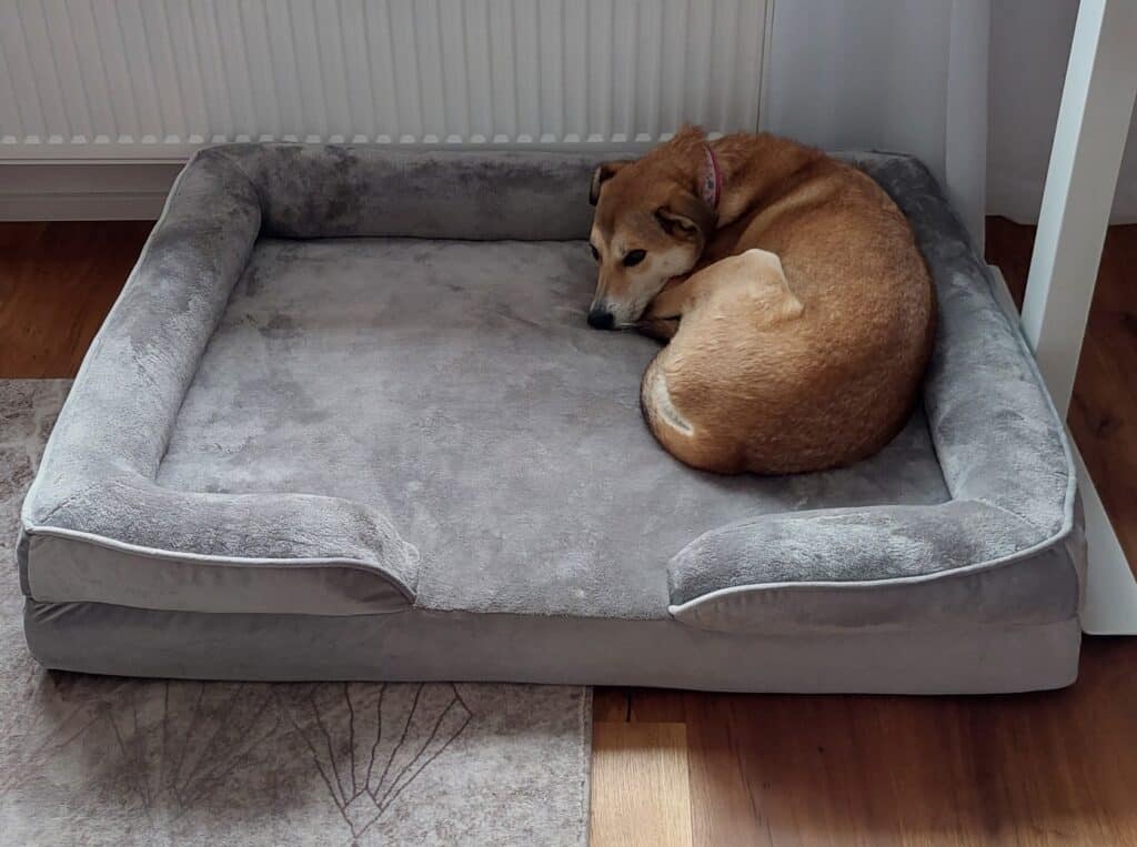 Mischlingshund liegt in Petstuff Hundebett