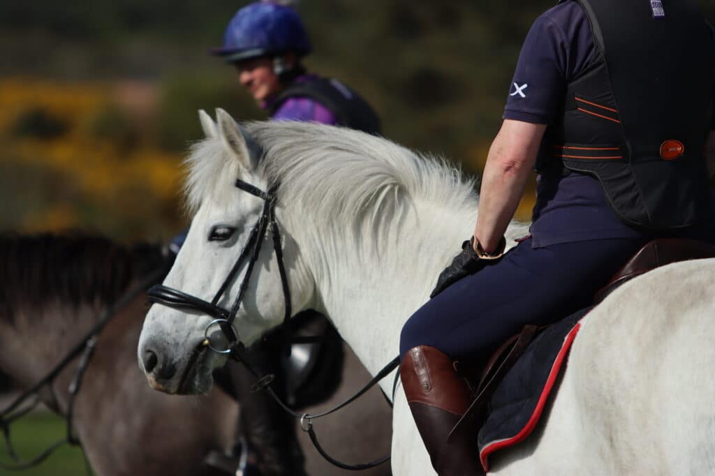 Reiter auf einem weißen Pony, angeschnitten, so dass der Kopf des Reiters nicht zu sehen ist. Beschriftung lautet: Reiter und Pferdebesitzer freuen sich immer über nützliche Geschenke. Doch wir haben auch ein paar schöne und außergewöhnliche Geschenkideen dabei.