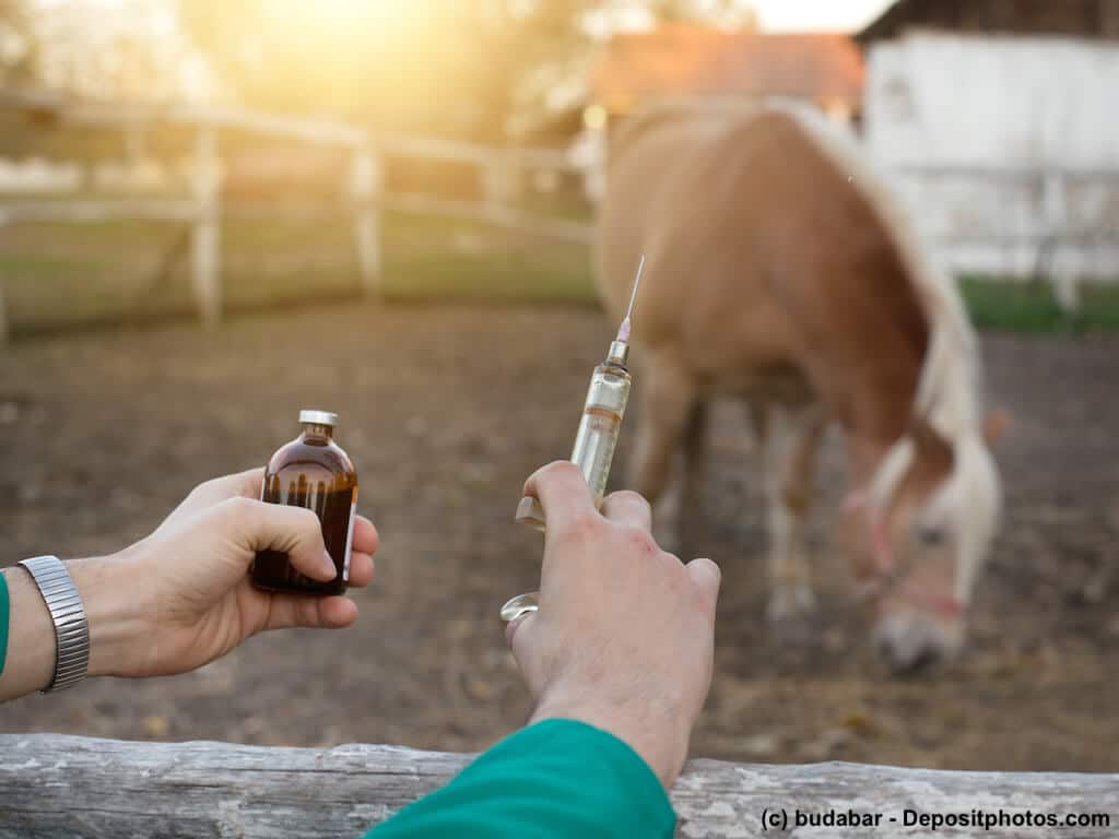 Kosten für die Impfung beim Pferd