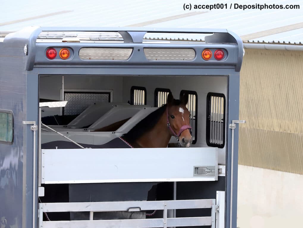 Pferdetransportversicherung und deren Kosten