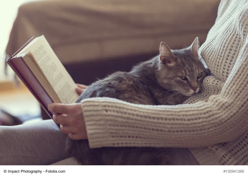 Entspannung und Ruhe dank Katze