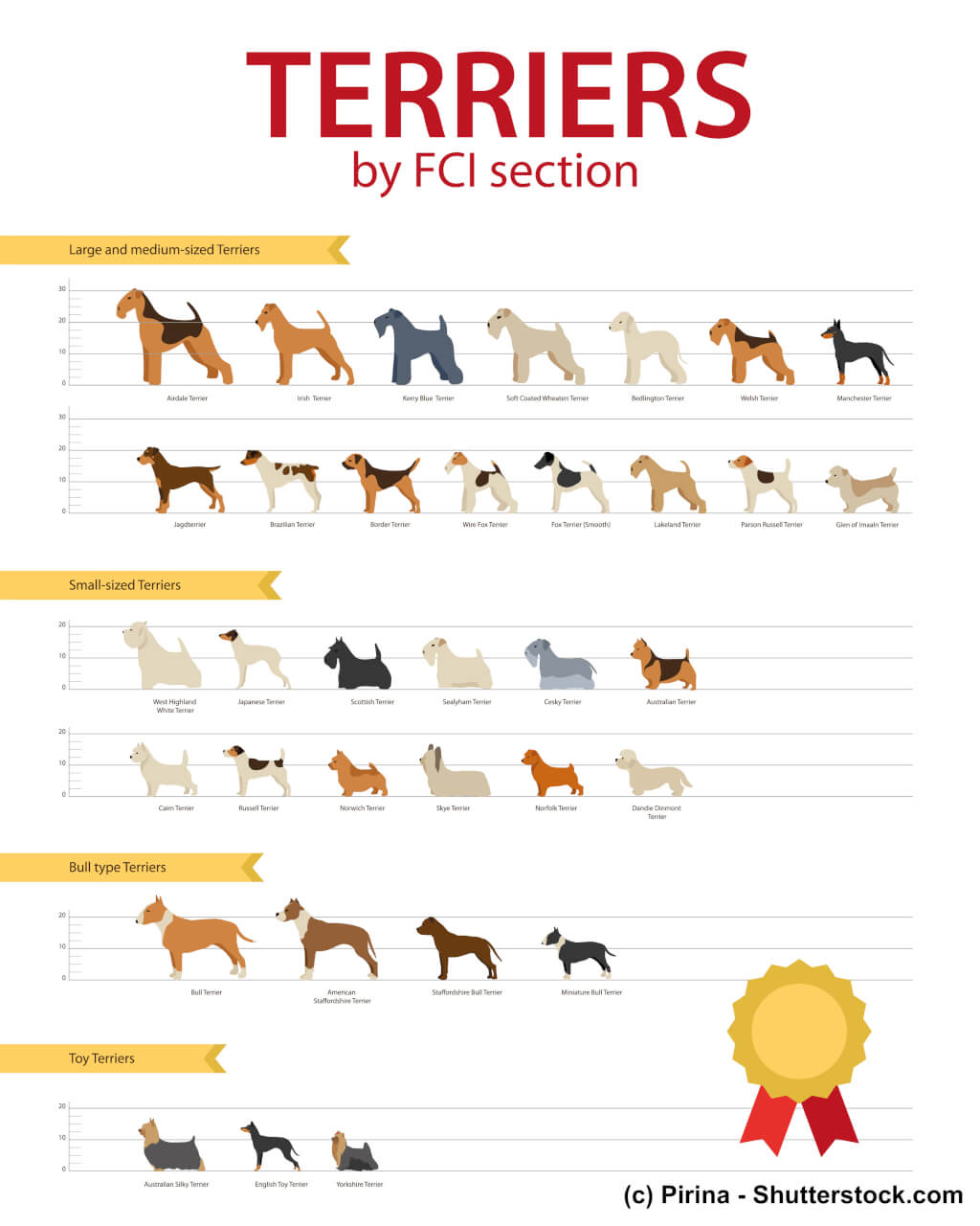 Übersicht FCI Terrier