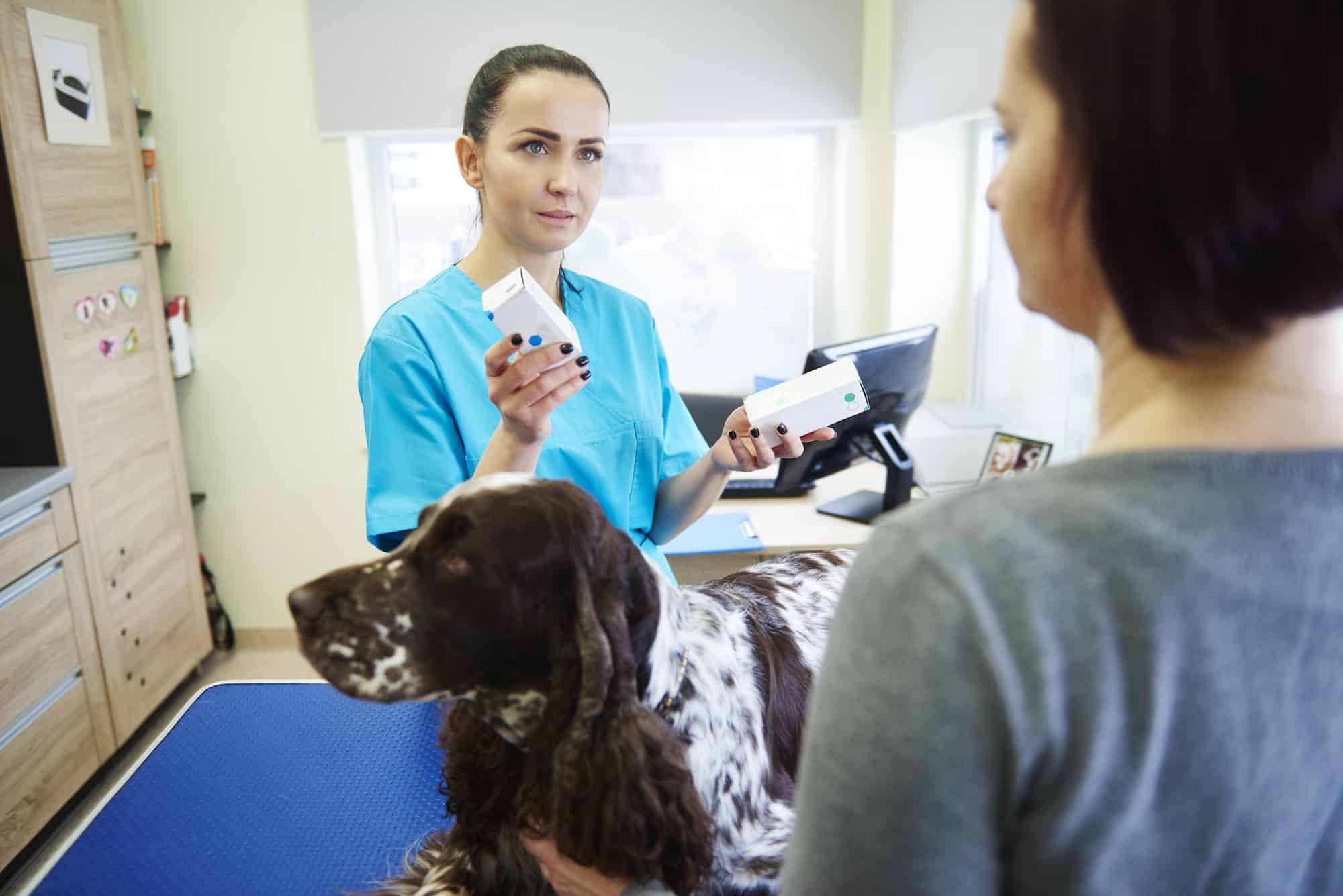 Eine Tierärztin gibt einem Frauchen Medikamenten für den Hund, der auf dem Tisch liegt. Beschriftung lautet: Welche Medikamente dein Hund braucht, erklärt dir deine Tierärztin.