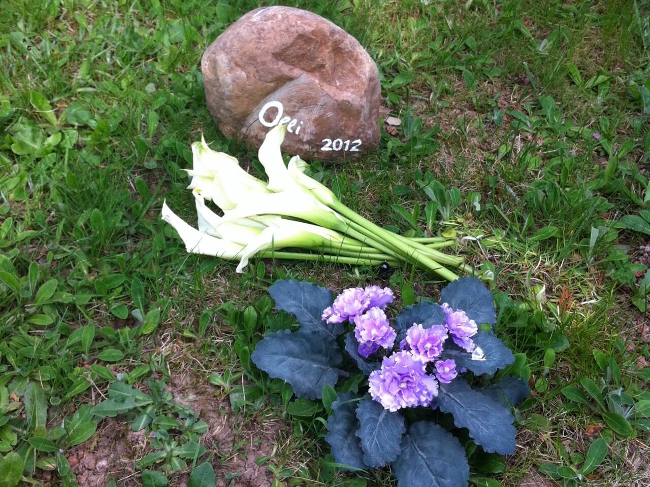 Tierbestattung im Garten mit Gedenkstein und Blumen