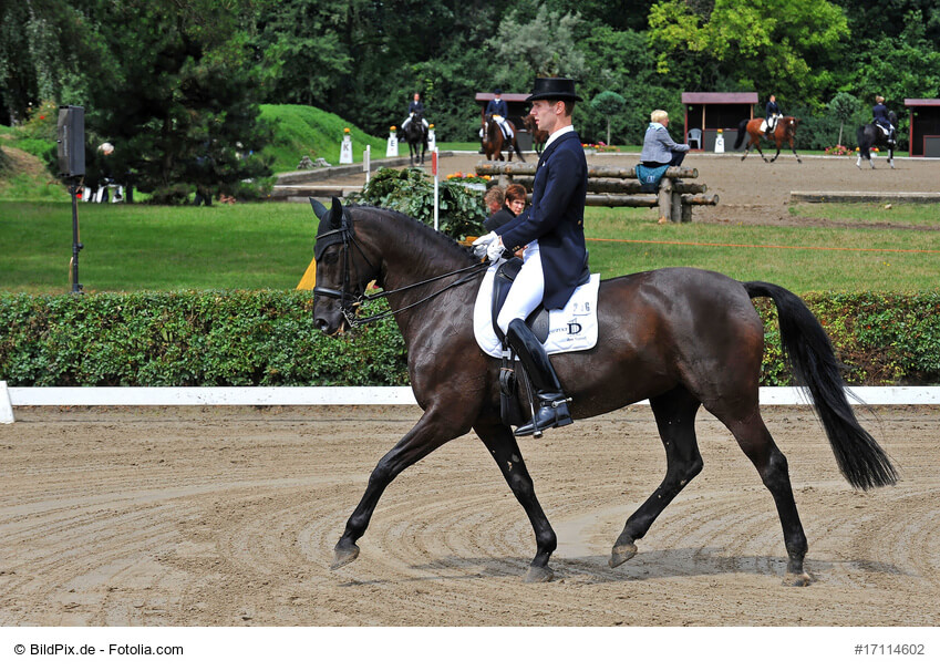 Dressurreiter reiten mit einem speziellen Sattel