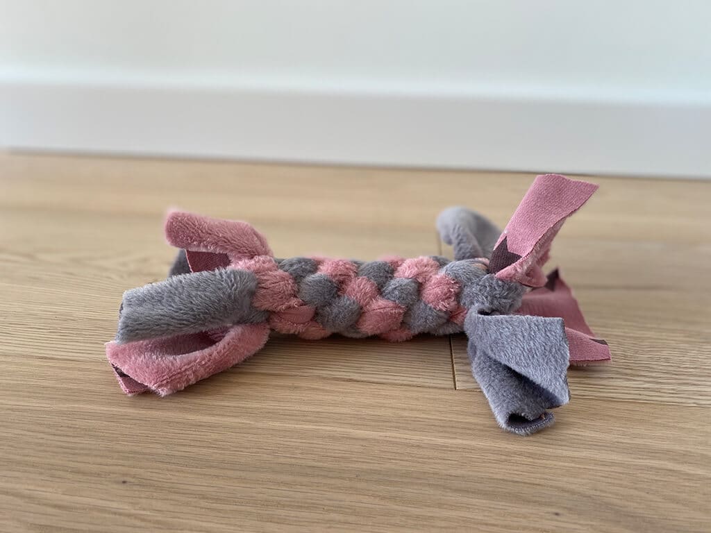 Knotenzergel auf Holzfußboden