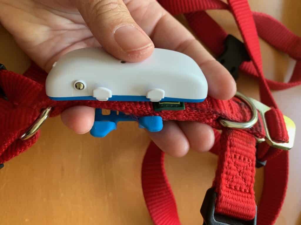 Der Tracker von tracitve ist einfach mit Gummiklammern zu befestigen