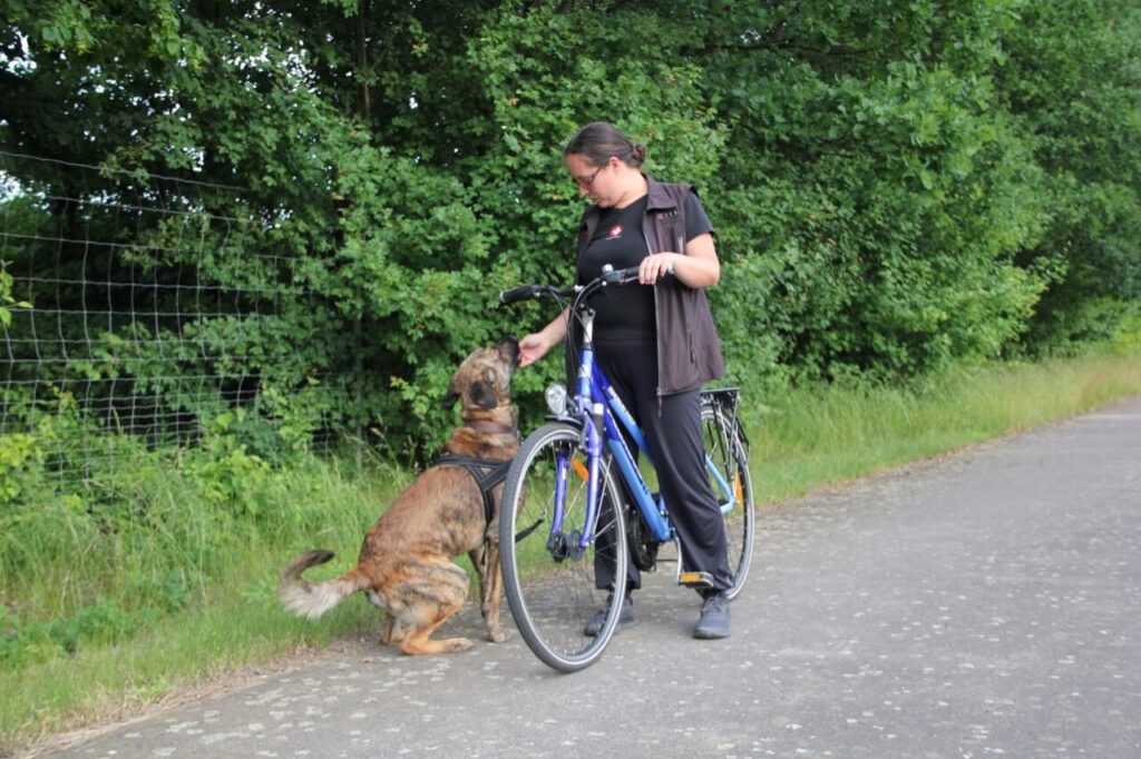 Übung Fahrradfahren mit Hund