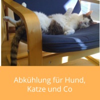abkuehlung-sommer