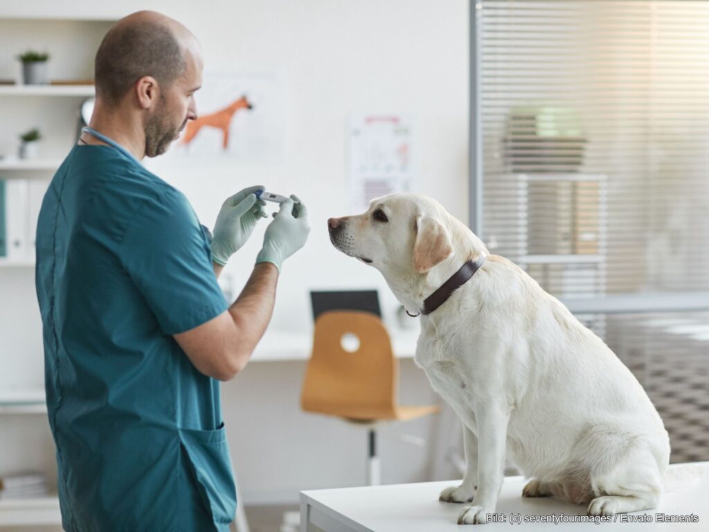 Welchen GOT Satz rechnet der Tierarzt ab