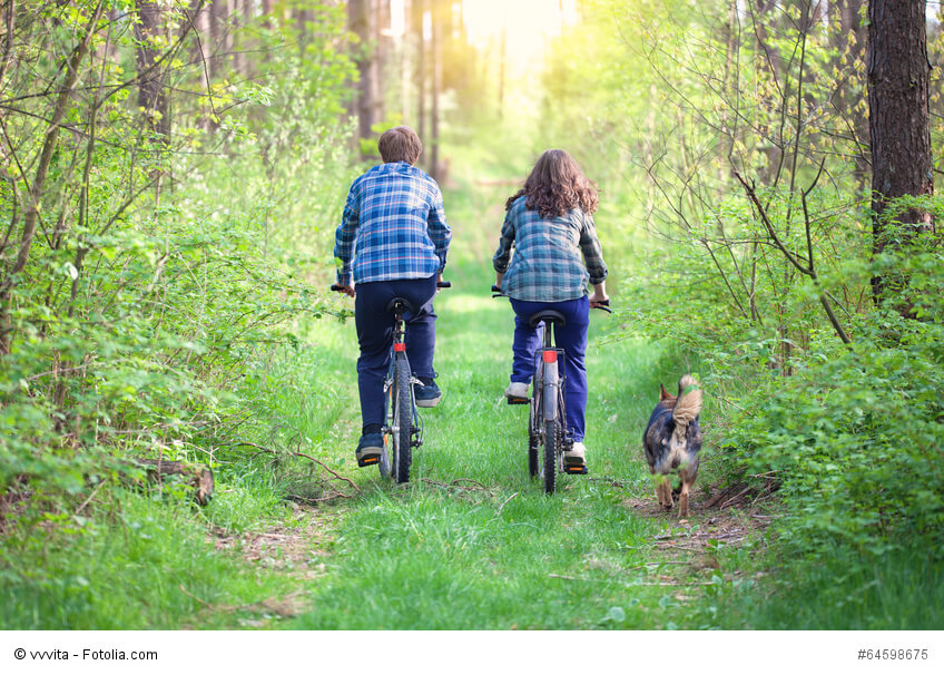 Ein junges Paar mit Fahrrädern auf einem Waldweg daneben läuft ein Hund