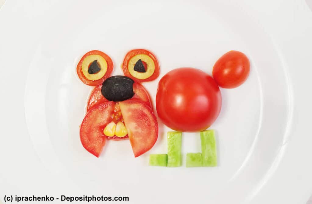 Ein Hund aus Tomaten und Gurken als Sinnbild dafür, ob eine vegane Hundeernährung möglich ist