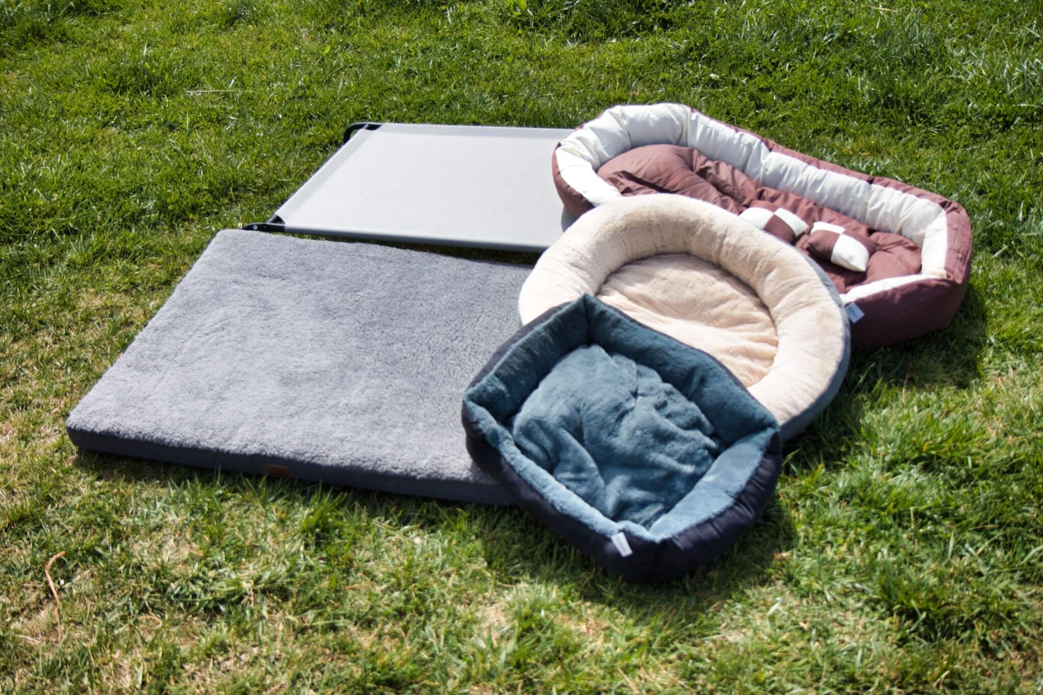 Welche Art von Hundebett soll es sein?