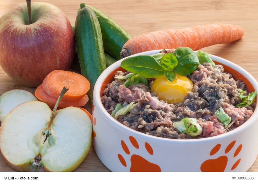 Hundenapf mit Fleisch, Ei, Obst und Gemüse