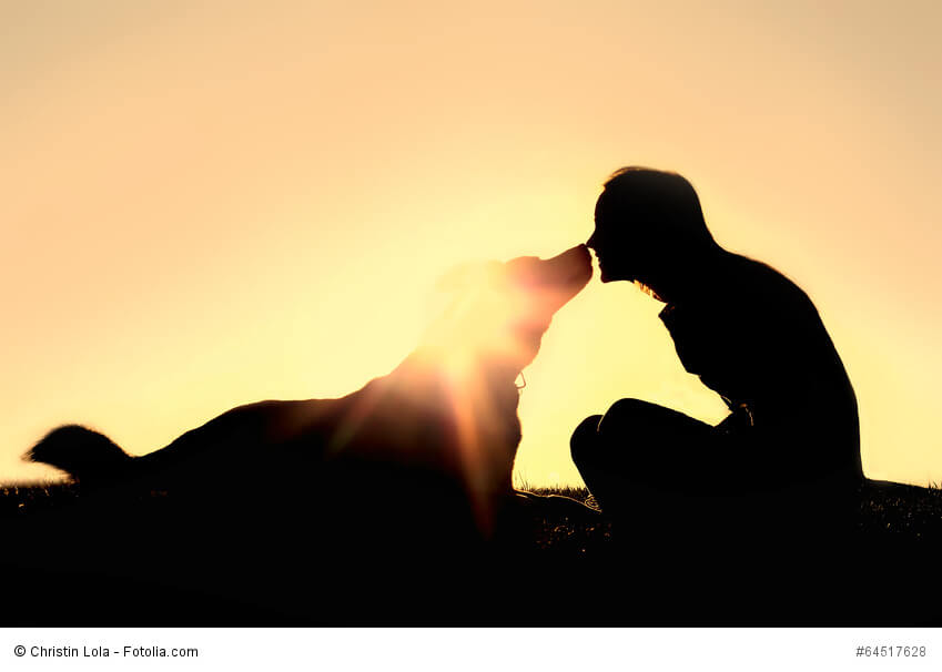 Wahre Liebe zwischen Hund und Frauchen