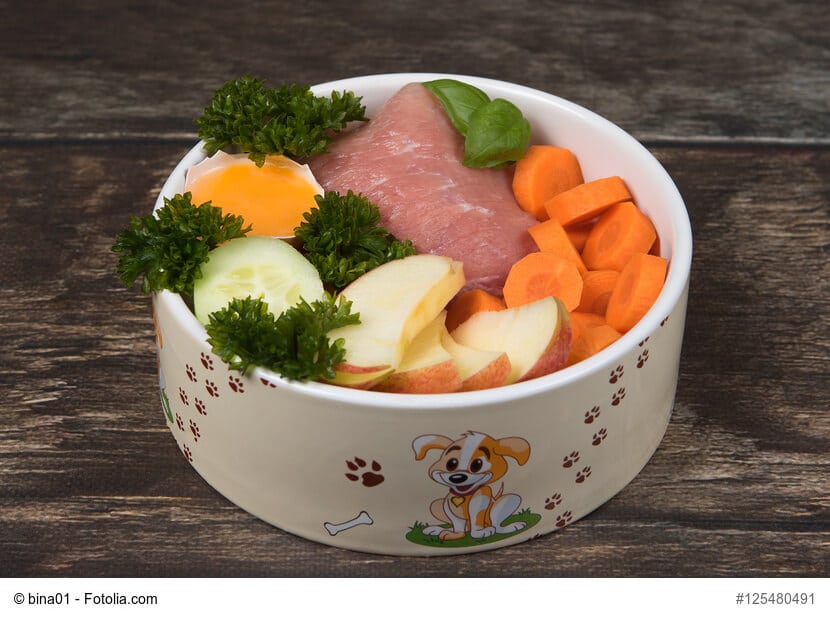 hundenapf gefuellt mit fleisch, obst und gemuese