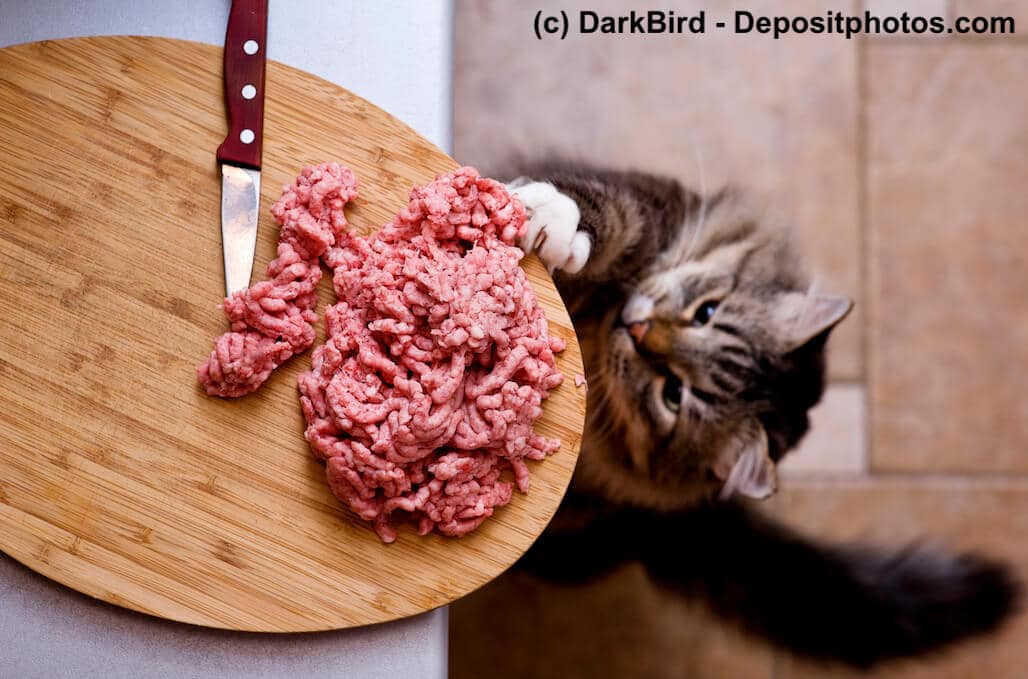 Eine Katze versucht Mett von einem Holzbrettchen zu klauen